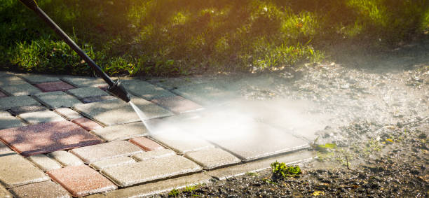 Best Driveway Cleaning and Restoration in Ina, IL